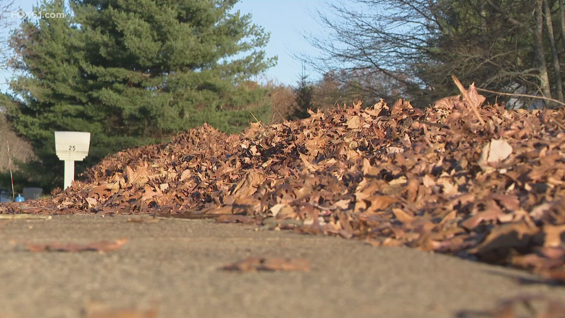 Leaves piling up is a bigger problem than usual because the dry weather is turning them into potential fire starters, but even collecting leaves is causing problems.