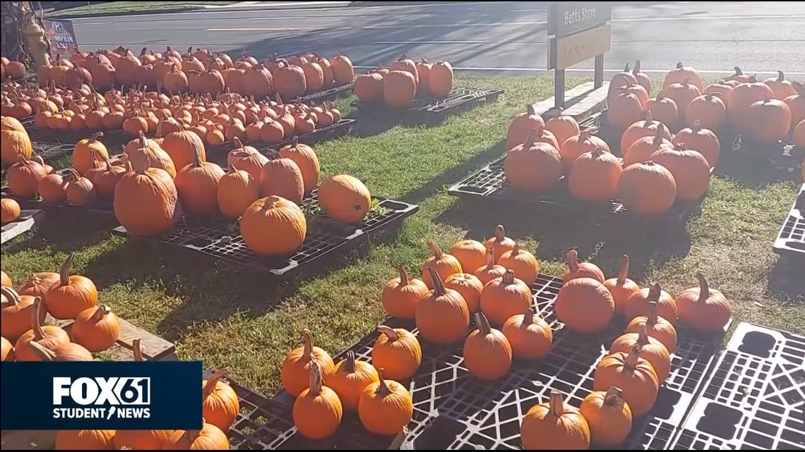 Wilton Pumpkin Patch helps support local businesses and charities | FOX61 Student News