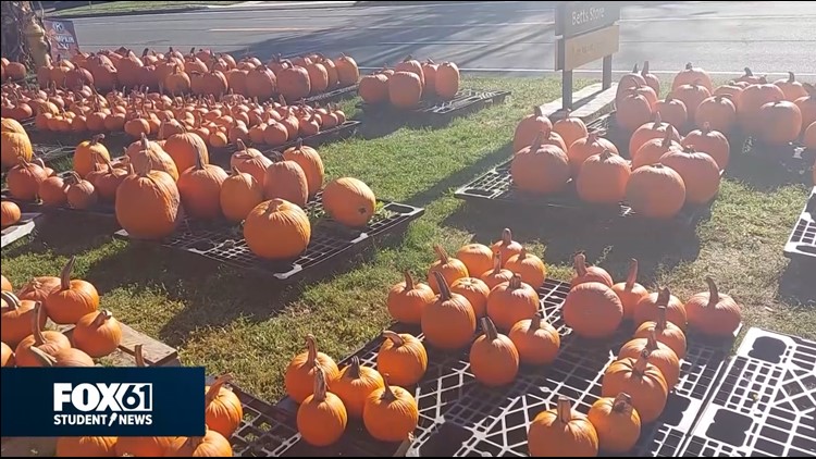 Wilton Pumpkin Patch helps support town | FOX61 Student News