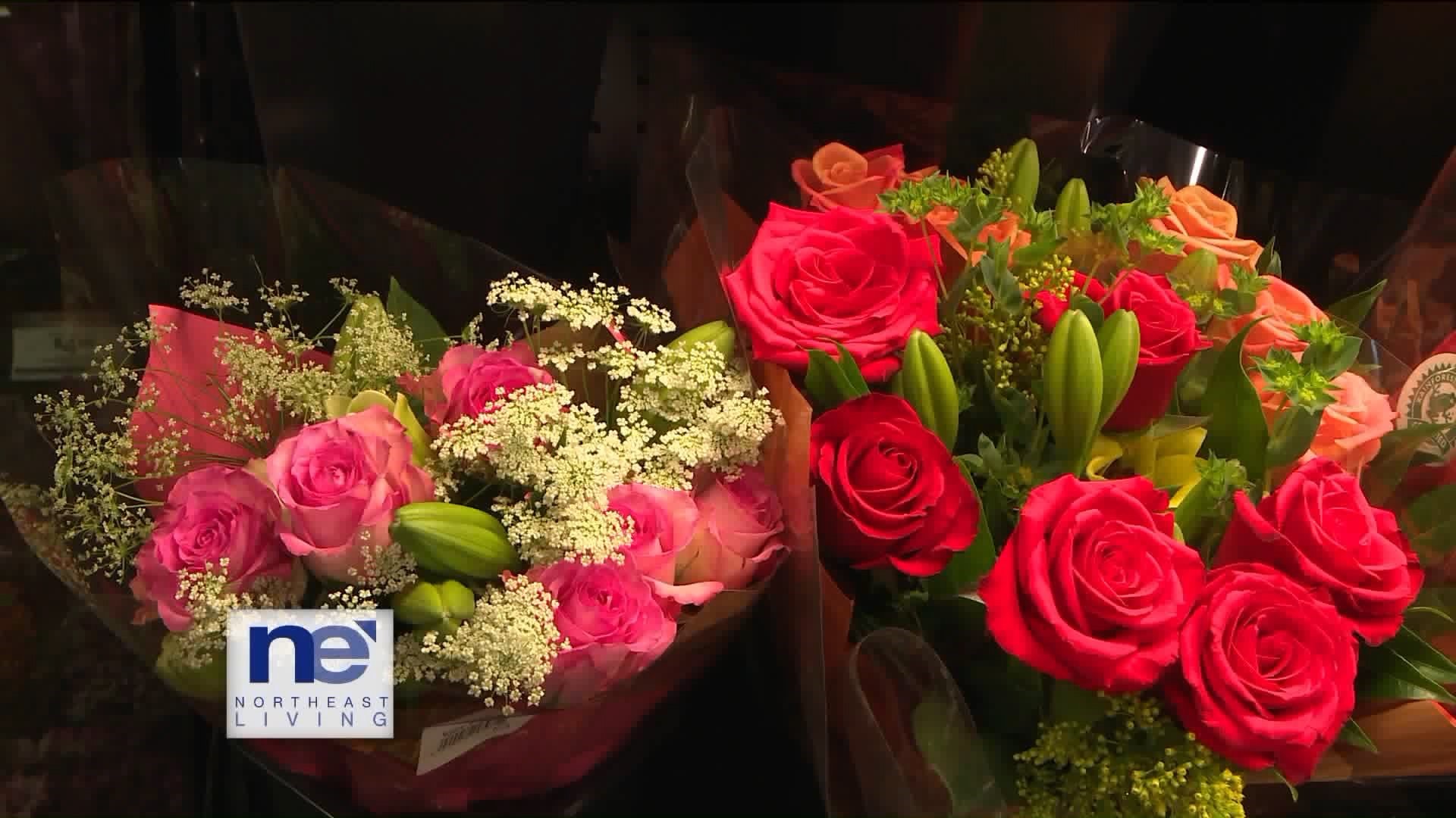 Northeast Living Big Y Floral