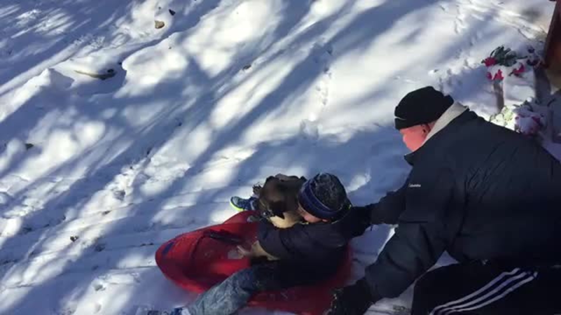 Sledding after Blizzard 2016.mov