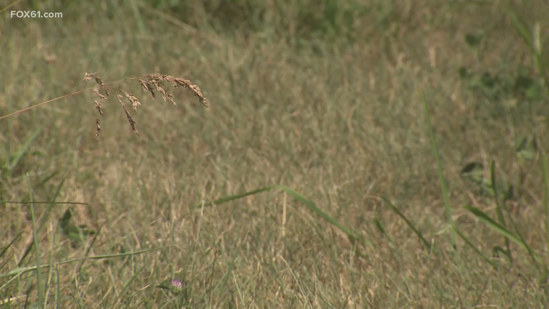 Litchfield, Tolland, Windham, and Hartford counties are all experiencing stage 2 drought conditions according to the state’s Interagency Drought Workgroup.