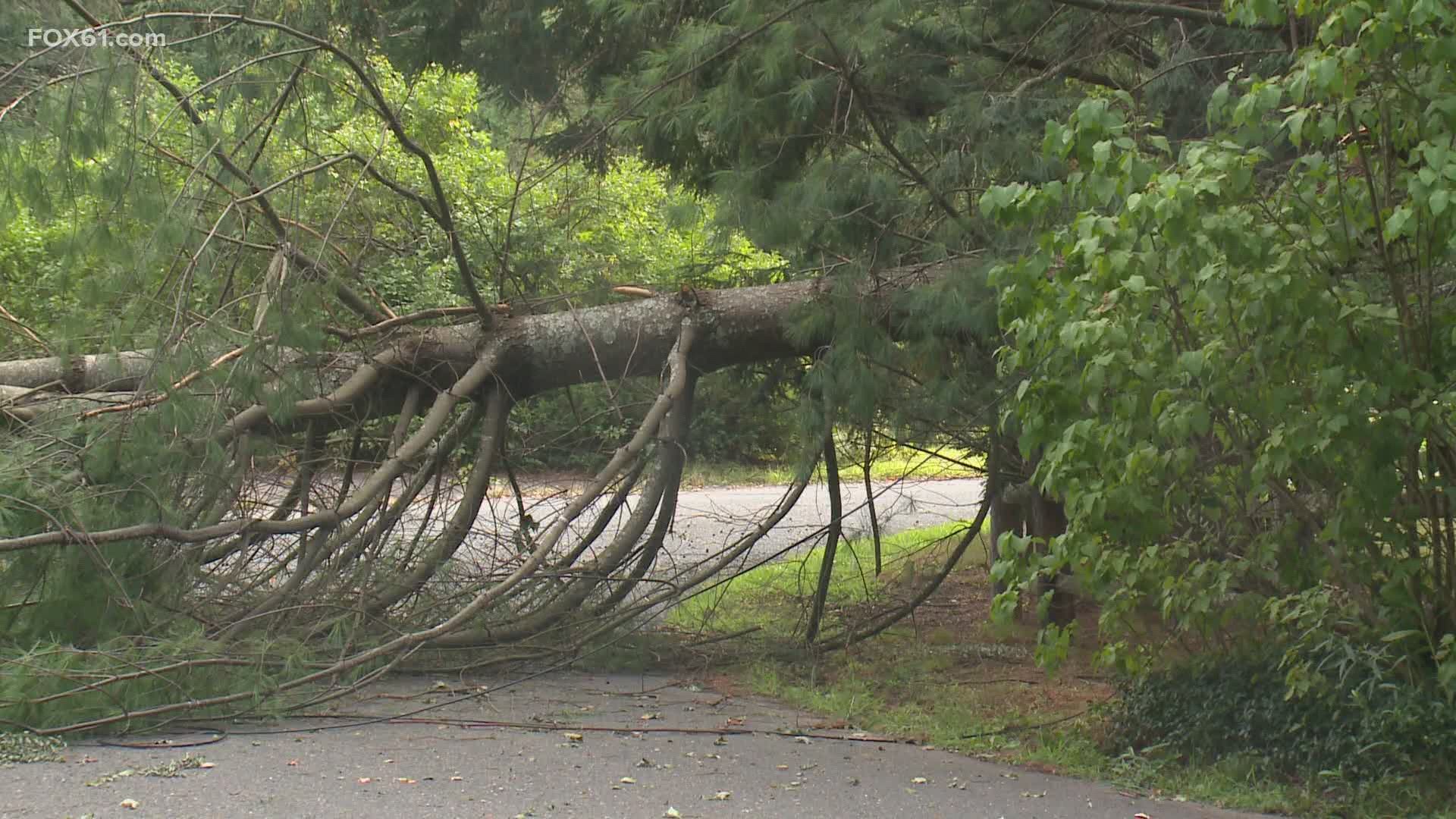 Town officials expect nearly everyone to have power back by midnight.
