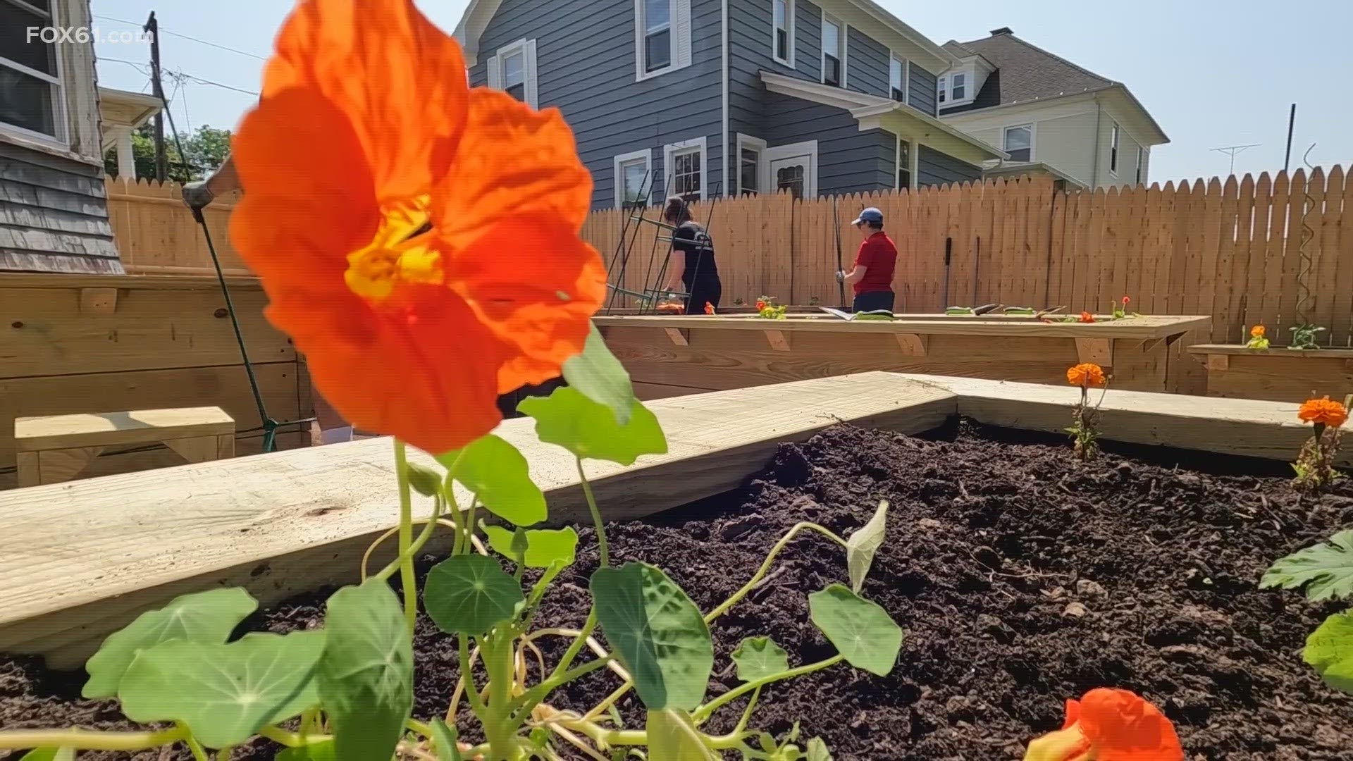 Friday brought out around ten volunteers who got their hands dirty putting the finishing touches on the community garden which took a month to construct.