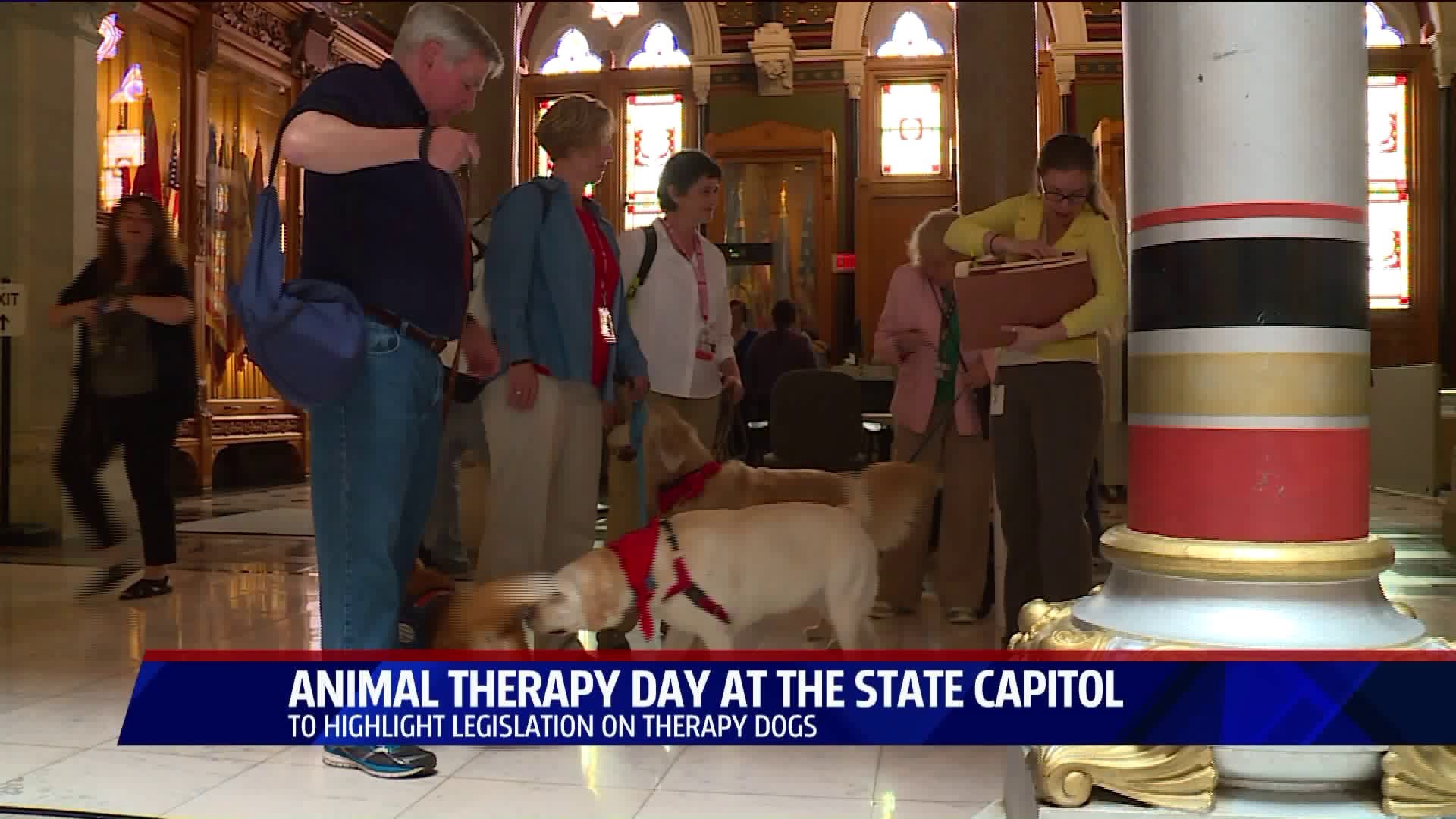 Animal Therapy Day highlights legislation for therapy animals