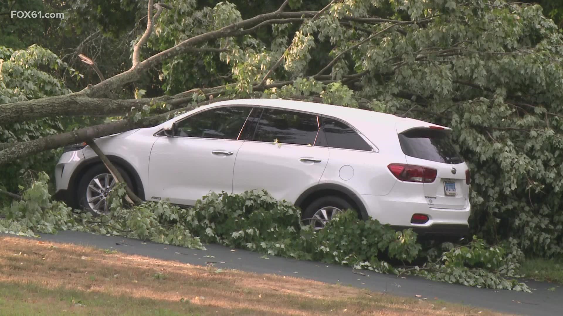 Many trees knocked down power lines and caused property damage across the state.