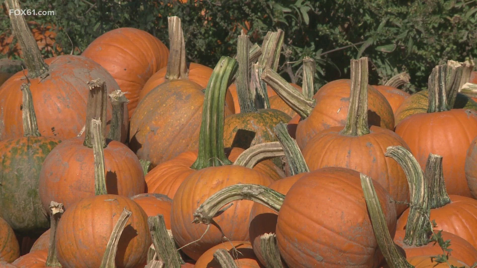 Several wet weekends have made it challenging for people to enjoy fall activities.