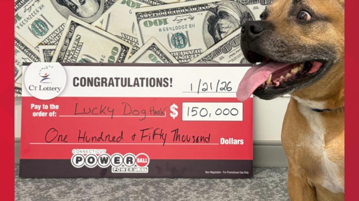 Connecticut dog getting ACL surgery after owner wins $150,000 Powerball prize