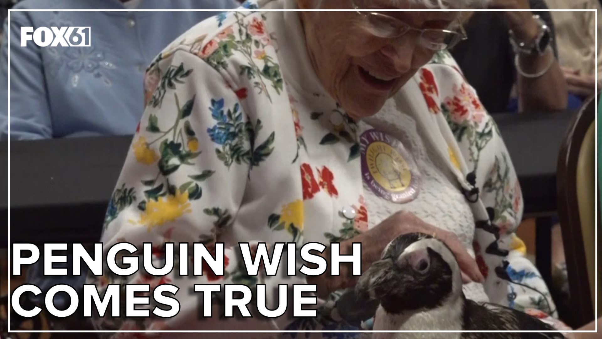 Mr. Red Green is the oldest penguin at Mystic Aquarium, and he surprised a 104-year-old Farmington woman, whose wish was to pet a penguin.