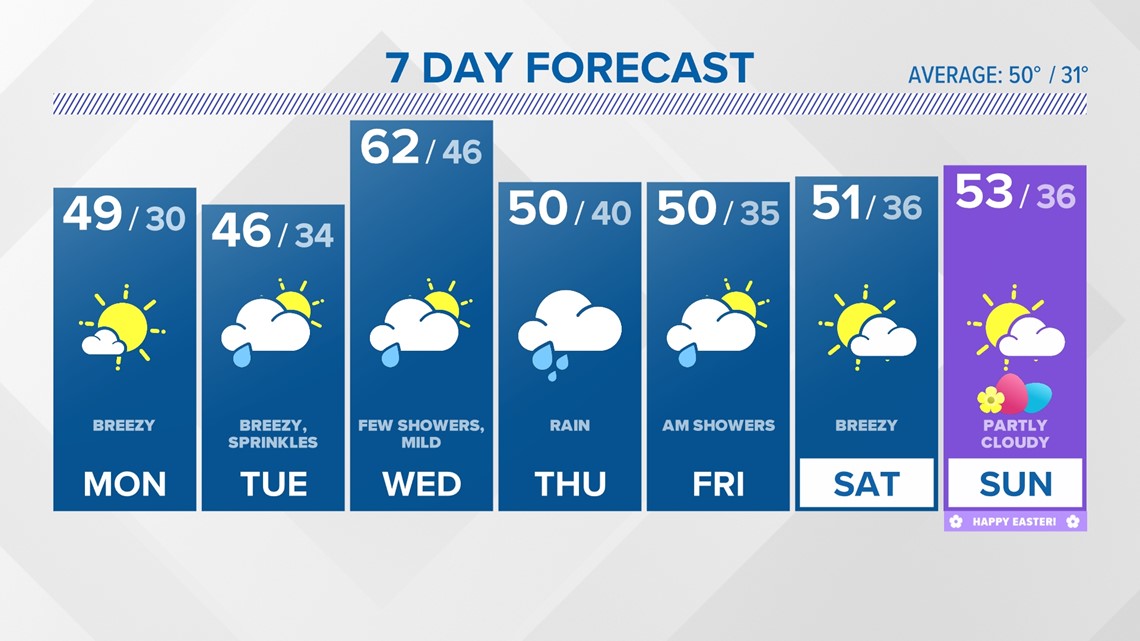 Meet the Team fox61 com