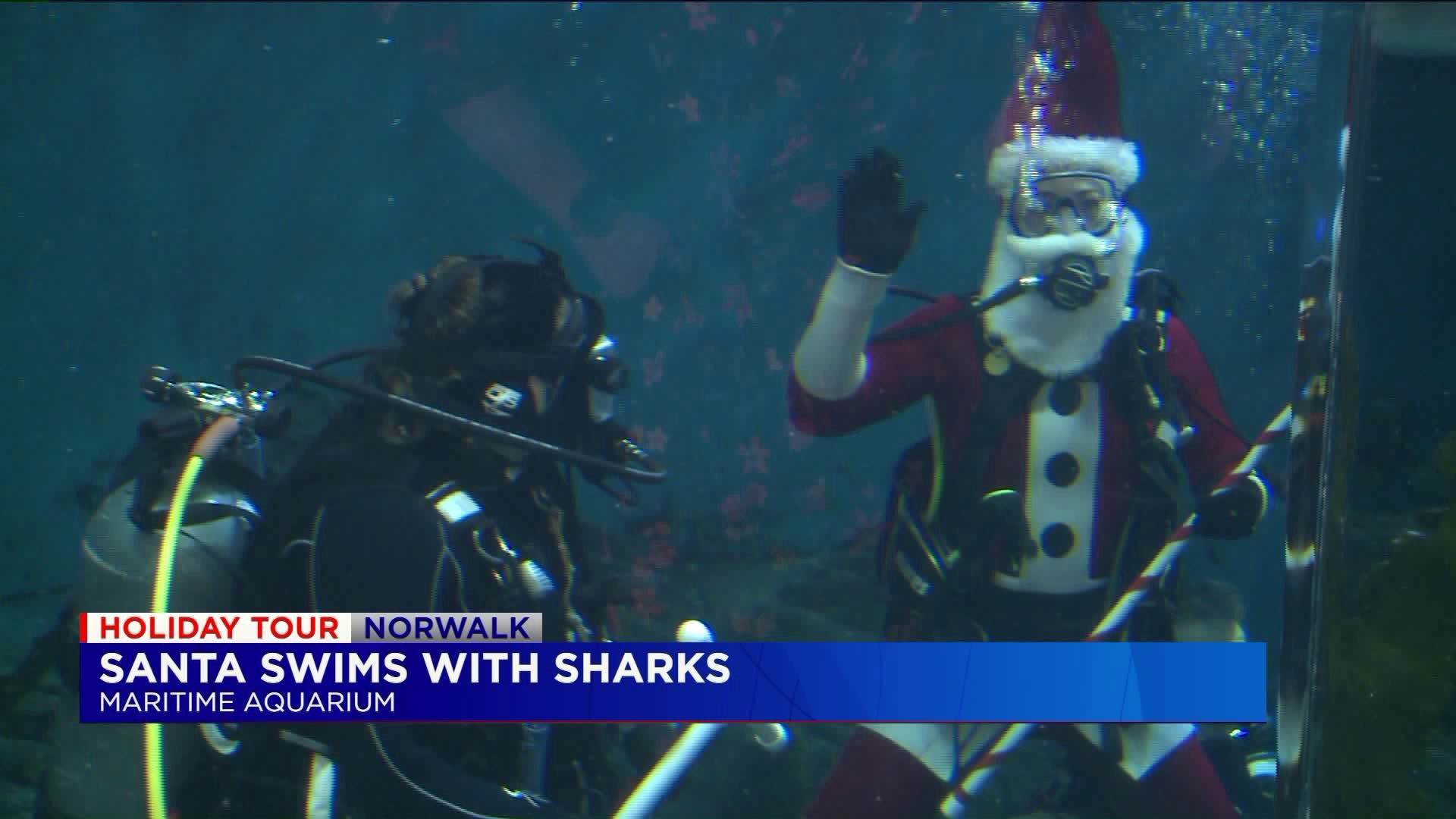 Santa swims with sharks at maritime aquarium in Norwalk