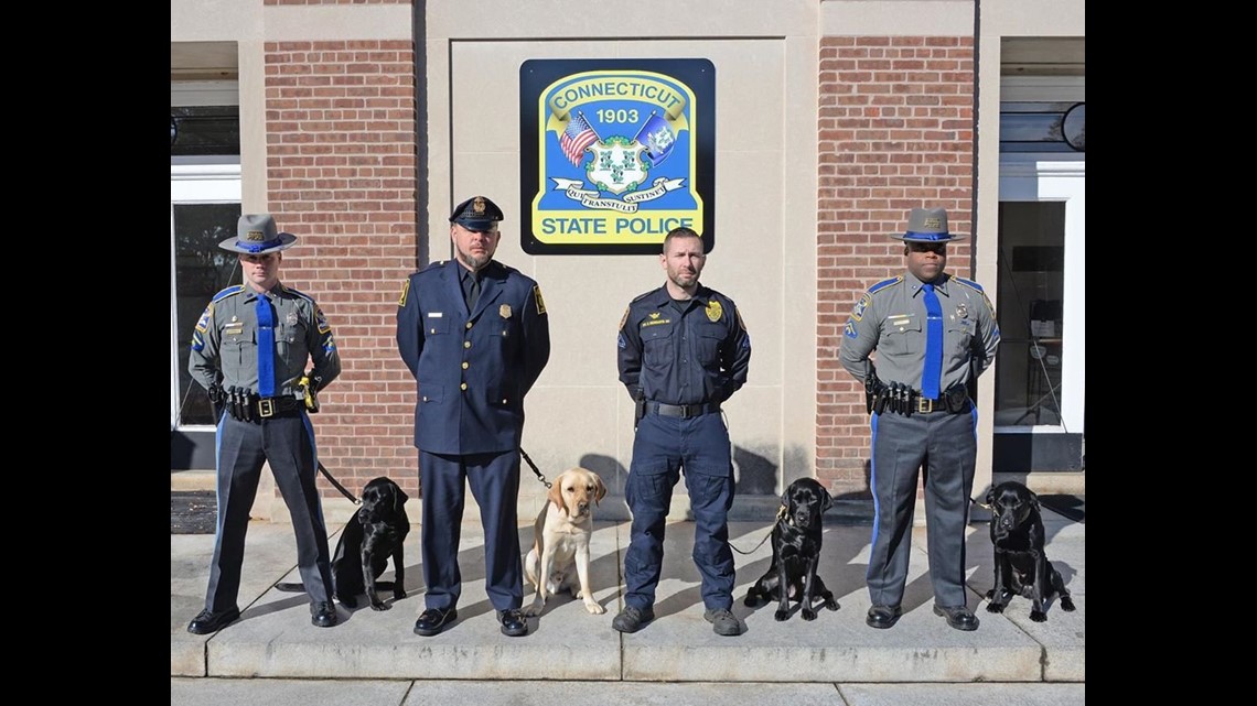 First ever Connecticut firearm detection K9’s graduate training
