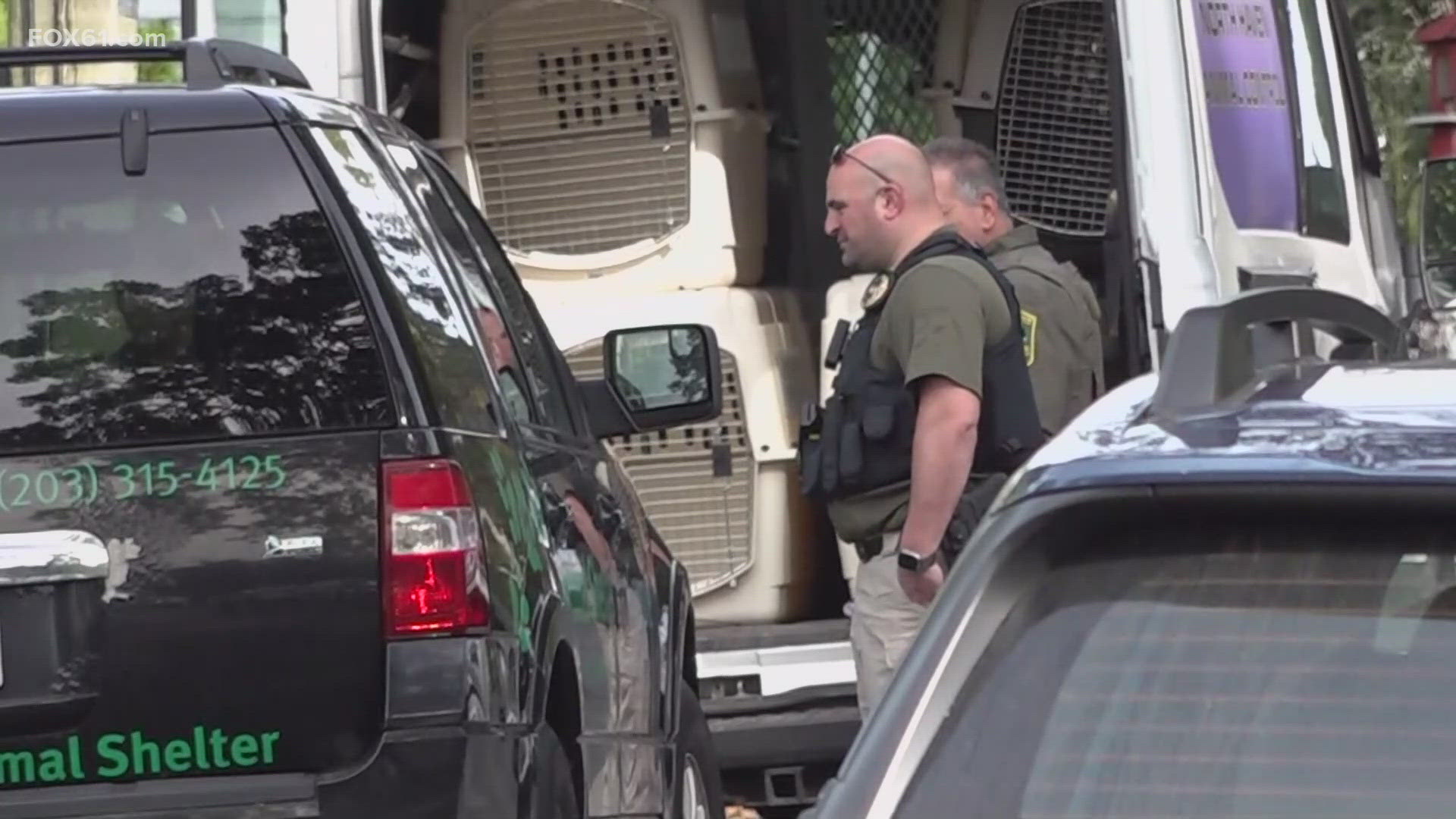 50 animals seized from Watertown, CT home, man charged in animal ...
