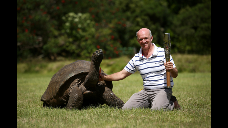 World's oldest animal, a giant tortoise, getting healthy again after  starting new diet 