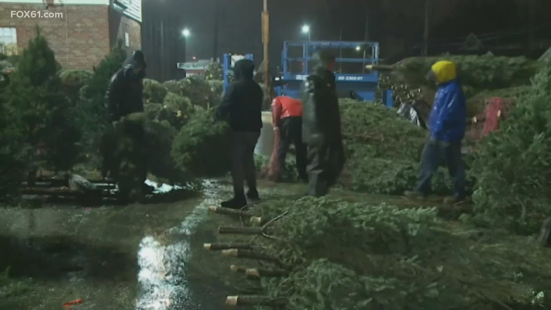 Vendors across Connecticut and the nation have been hit by the Christmas tree shortage for a number of reasons.