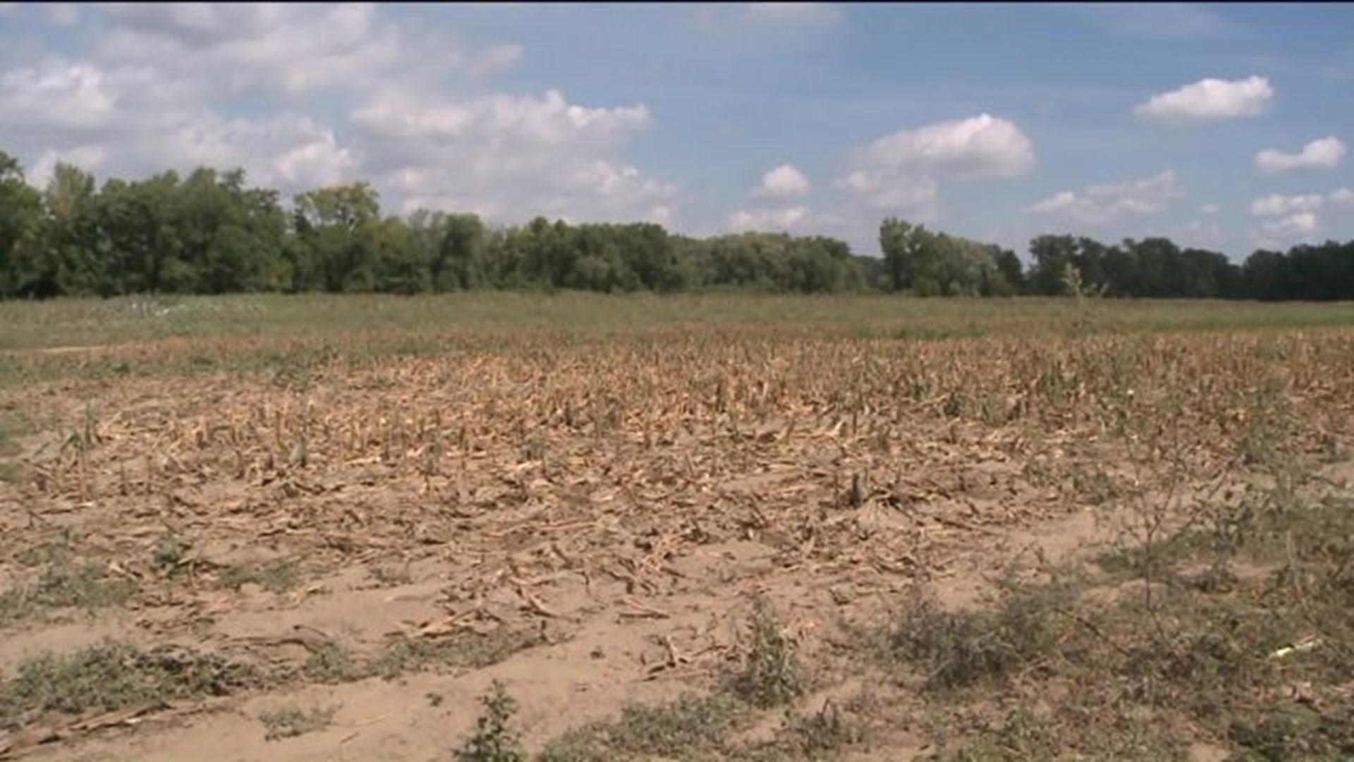 Severe draught causing concern for farmers