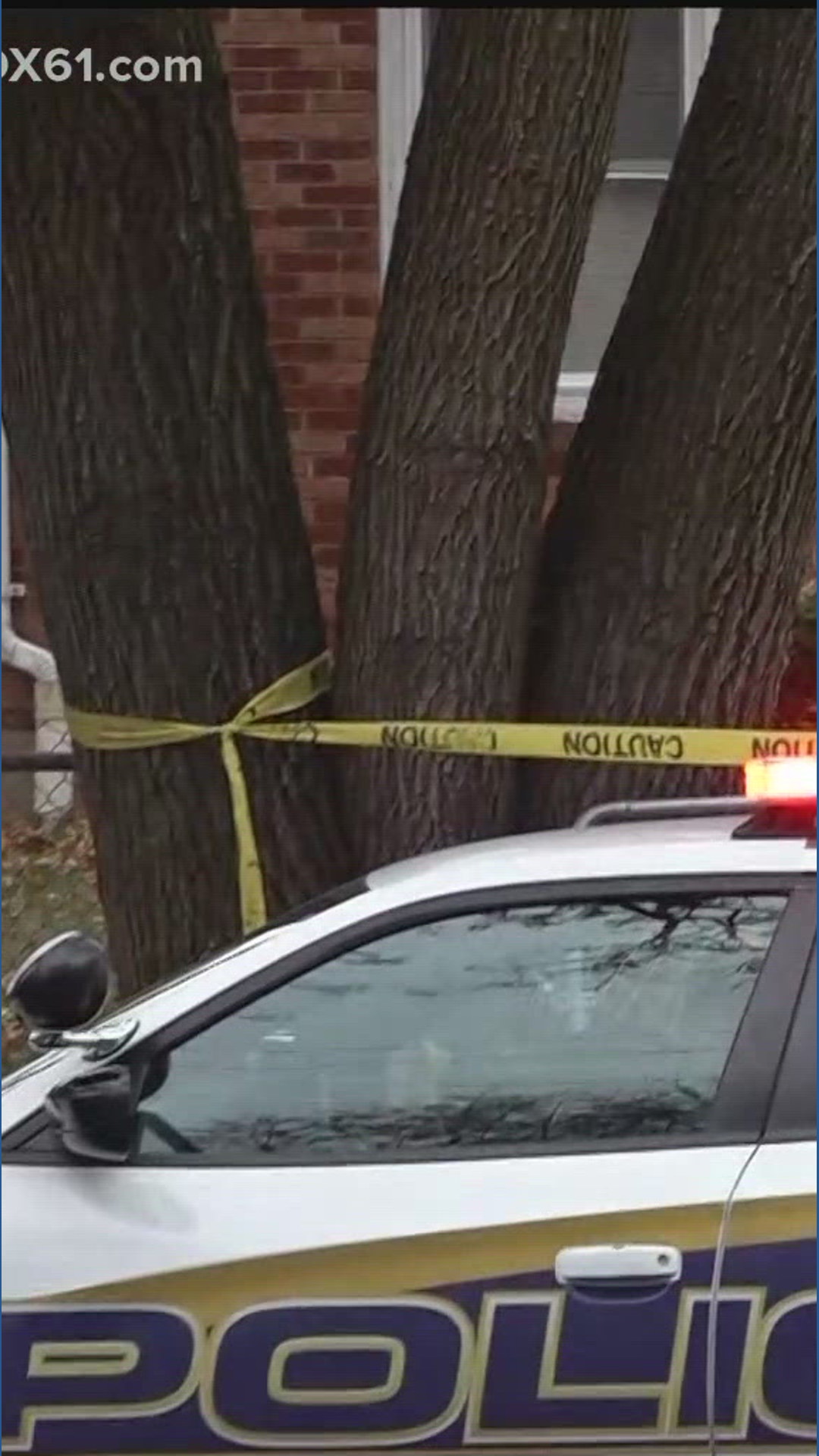 2 killed in New Haven shooting: Mayor | fox61.com