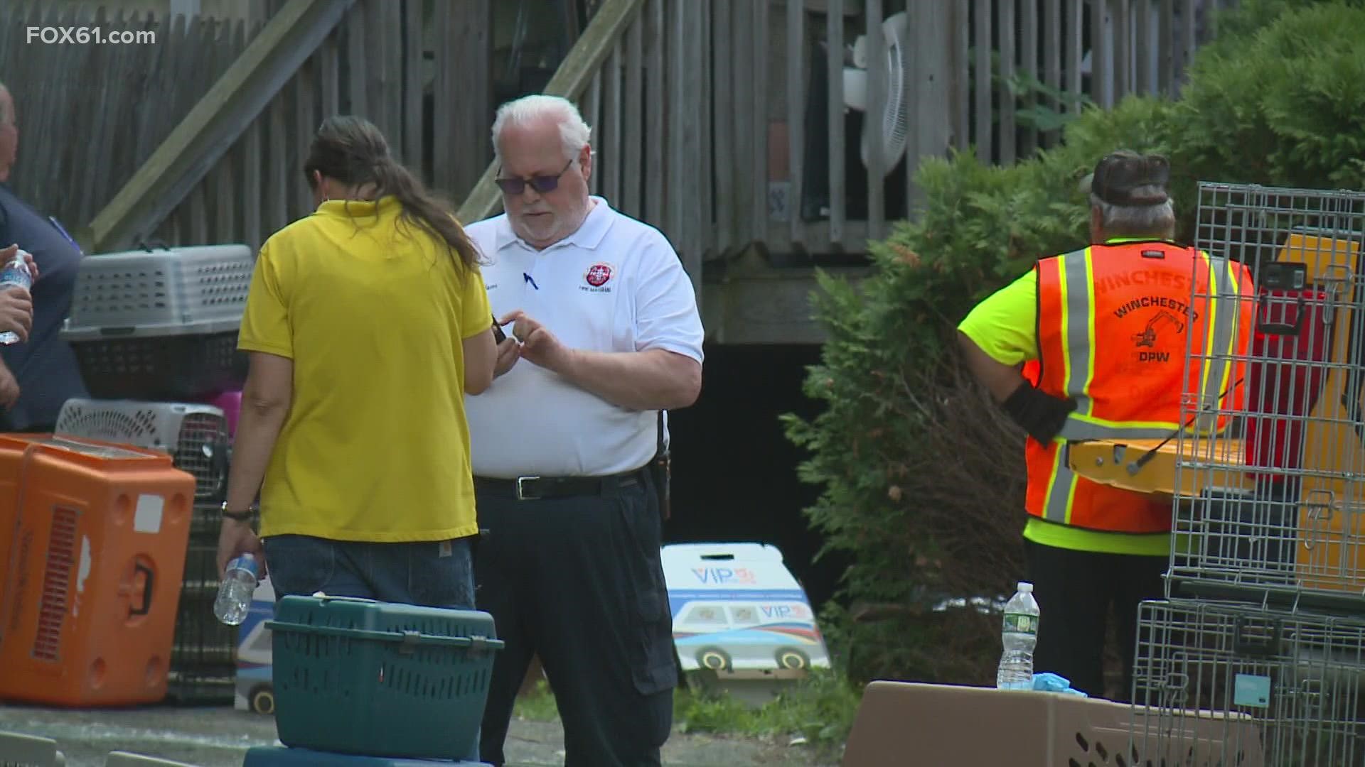 4th arrest made in Connecticut cat hoarding case