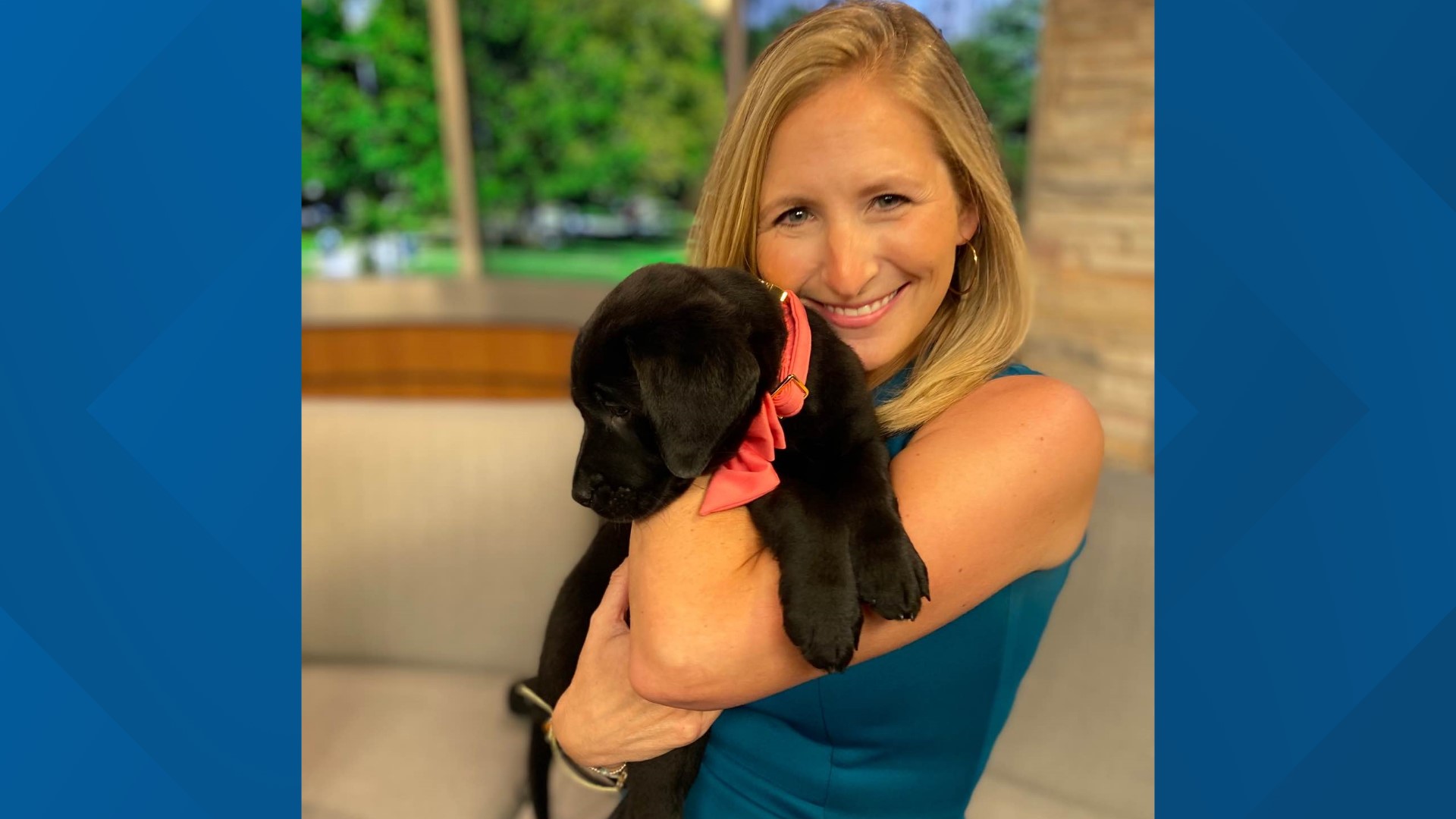 fox61-viewers-vote-for-name-of-neads-service-dog-in-training-fox61