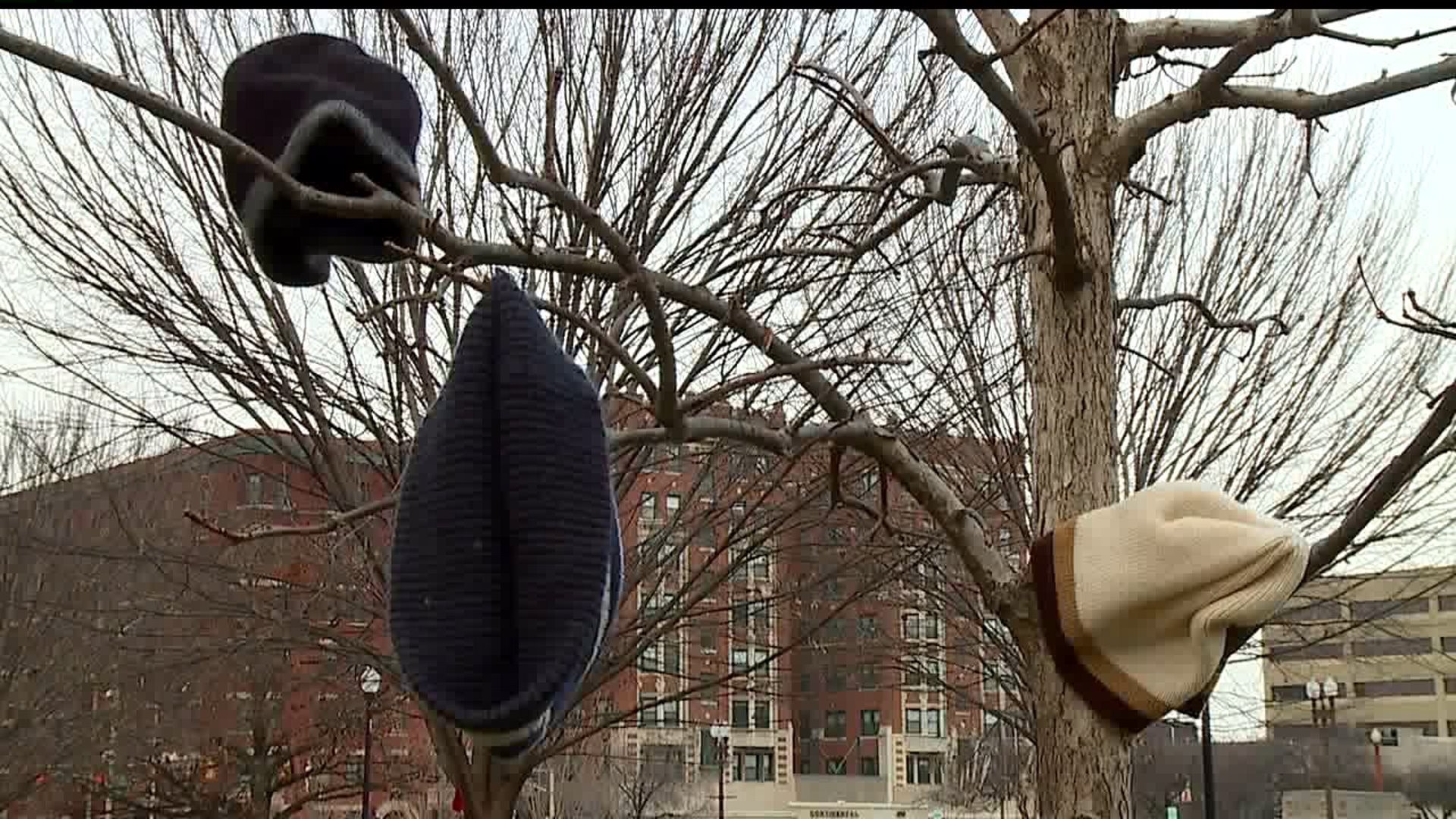 Mystery winter clothing found hanging in park to help people in need