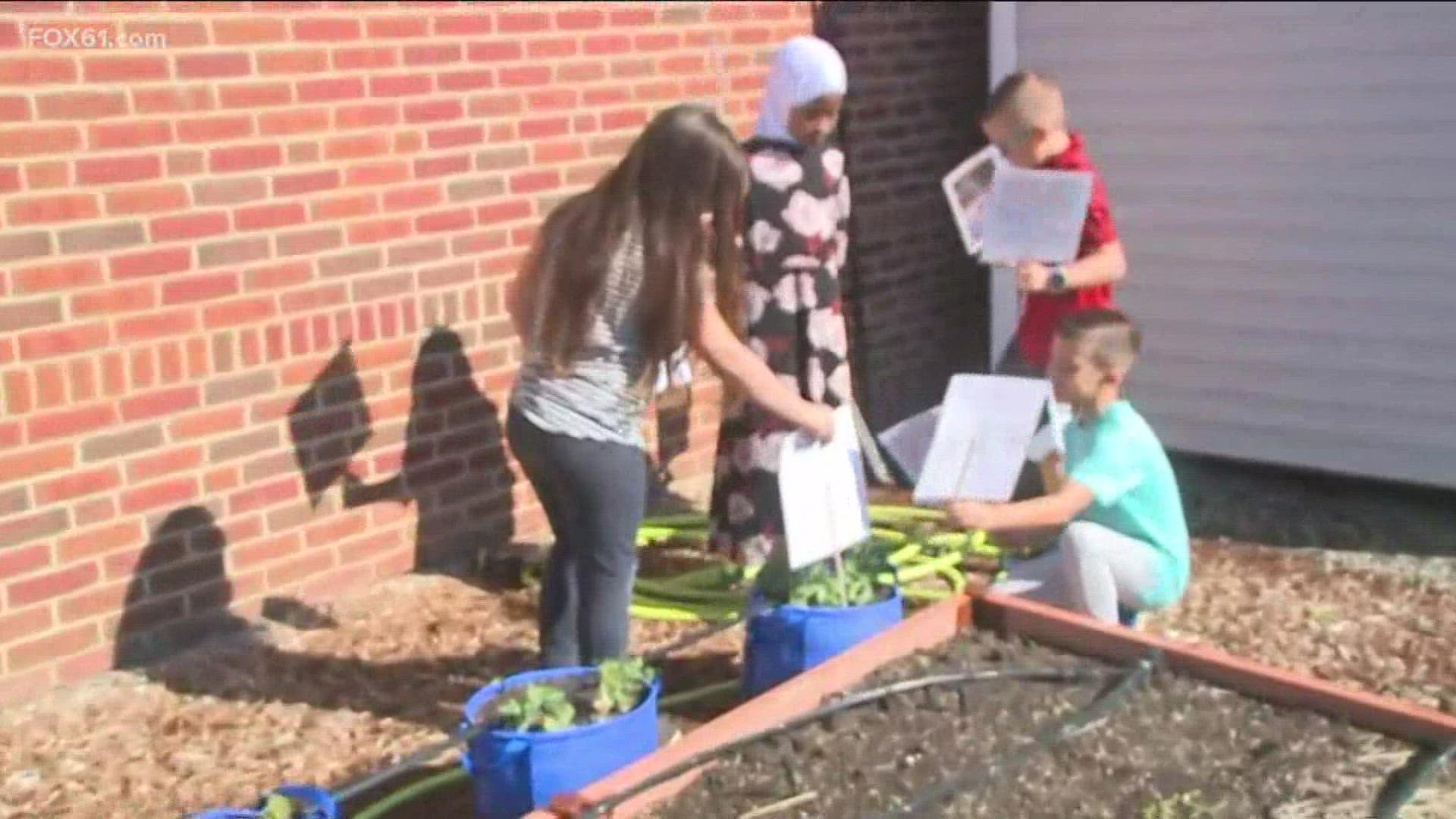Their new garden allows the school to incorporate it into its curriculum. Each class from each grade gets time outside during the growing season.