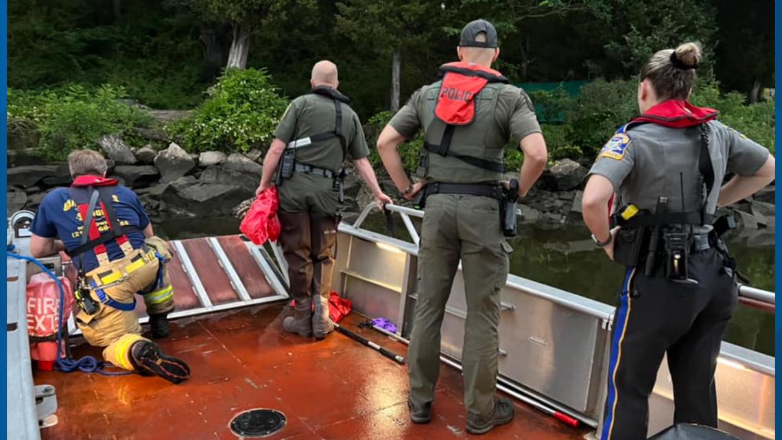 Man injured in bobcat attack while camping in Connecticut - Vimarsana News