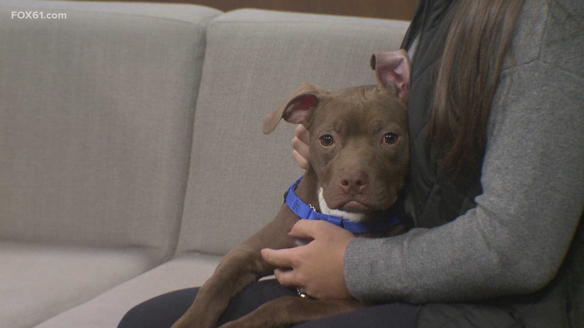 Pet of the Week | Juniper