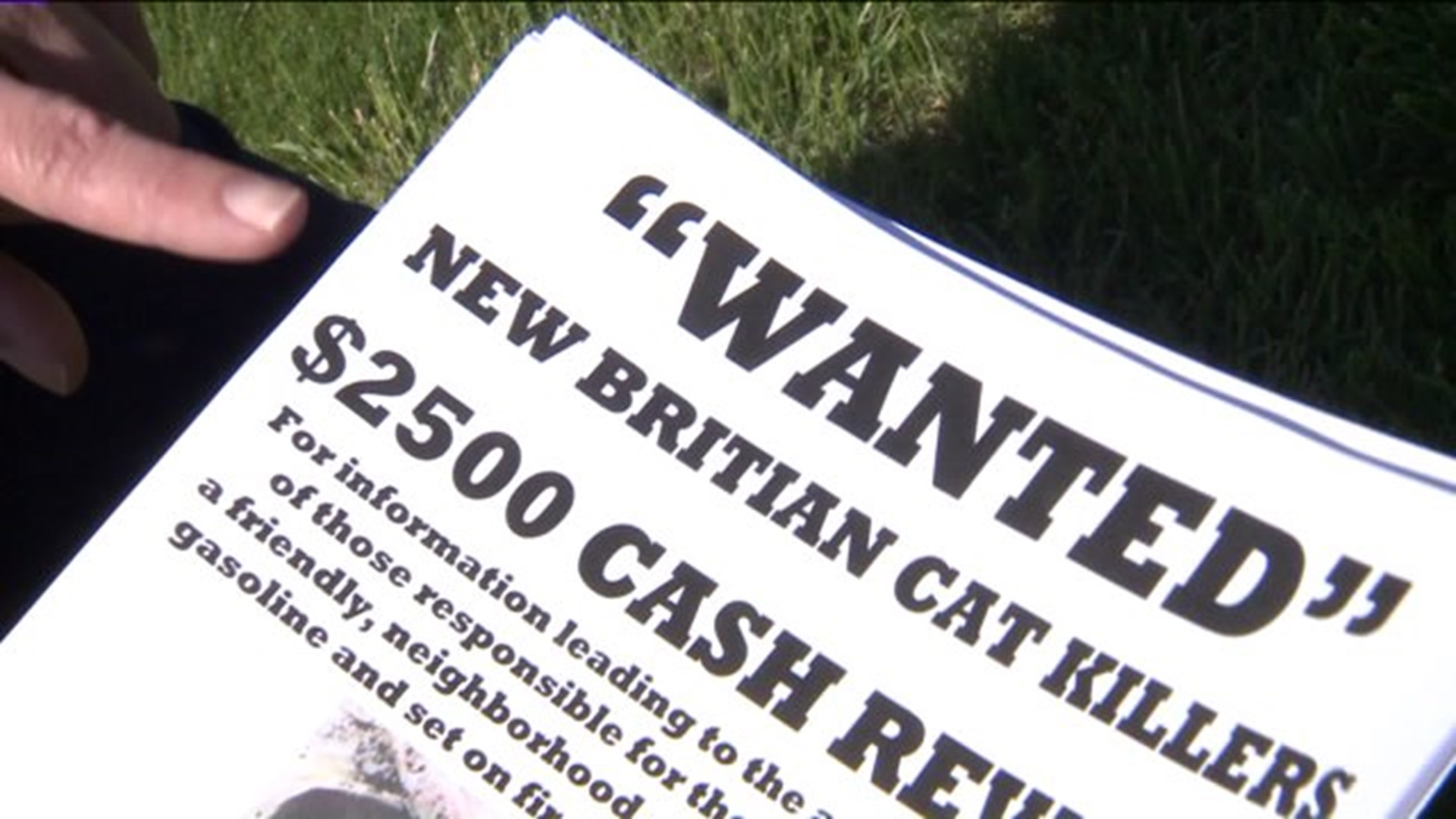 Plea for info about cat killer spreads in New Britain