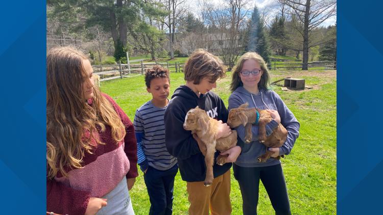 With respect to the Hartford Yard Goats, these students are celebrating the New Hartford Goats