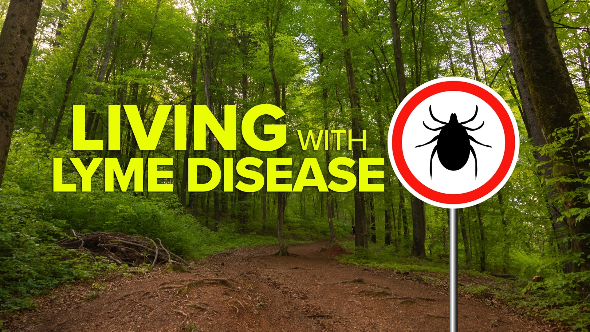 For Elena Zajac and her family, a small tick bite changed their lives forever.