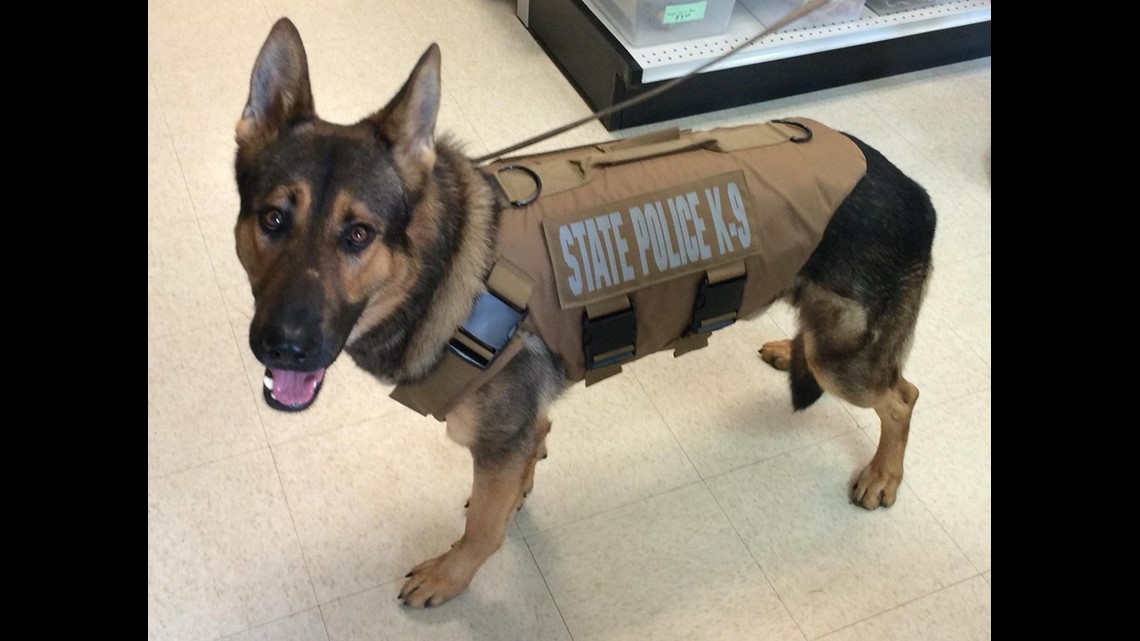 State Police K9 Gets Donated Protective Vest | Fox61.com