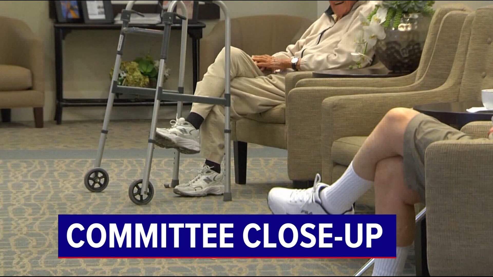 The Committee on Aging is looking at legislation this session to help seniors.