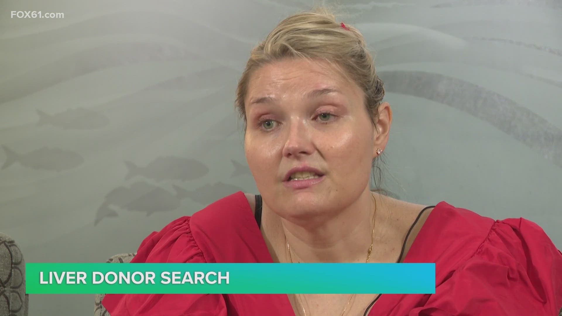 Across Connecticut, there are nearly 100 people in need of a liver donor and more than 600 people in need of a kidney donor.