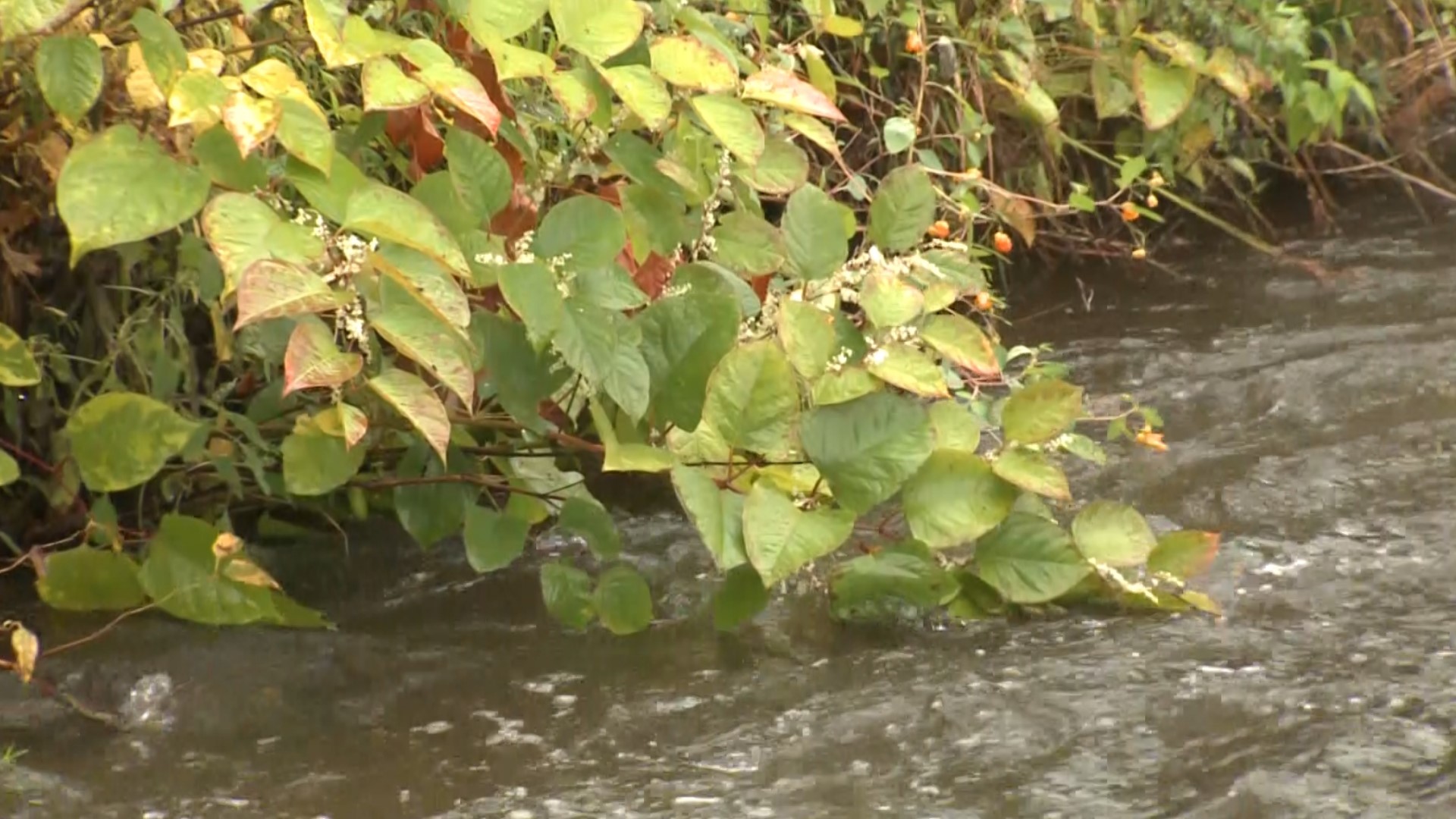 Residents in the lesser hit areas are feeling thankful for some much-needed rain.