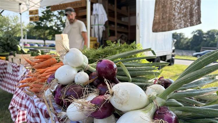 This week is Connecticut Farmers' Market Week: officials urge residents to buy local