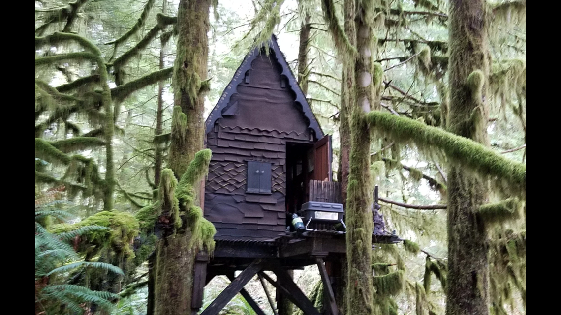 Nature In The Woods Porn - Man charged after 'gingerbread treehouse' full of child porn found in woods  | fox61.com