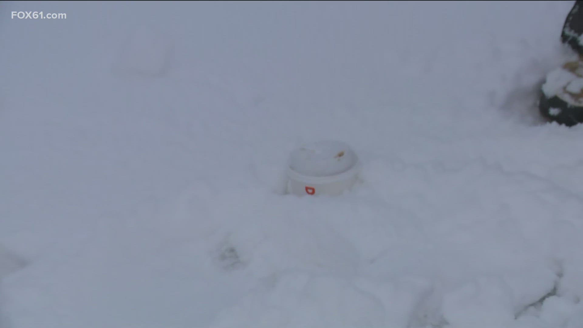 Snow is piling up in Wallingford as the storm continues in Connecticut.