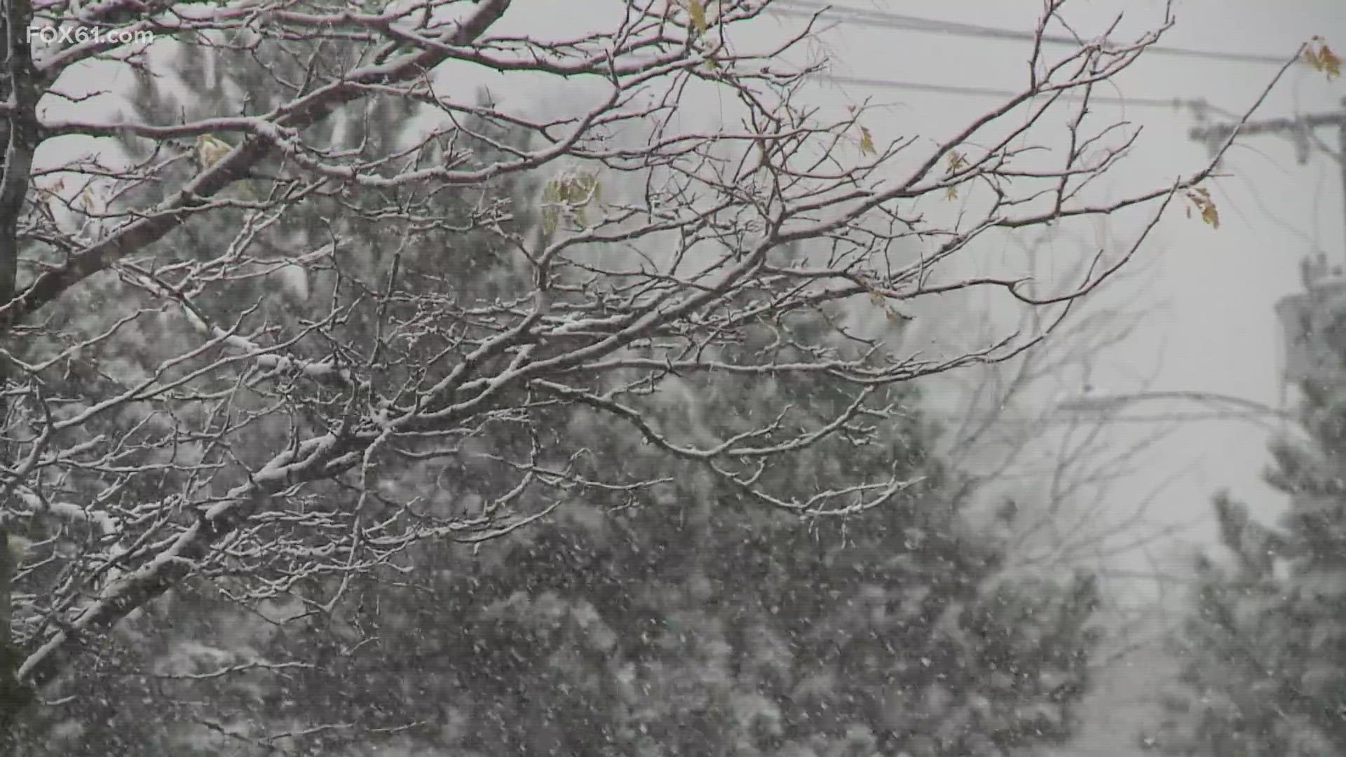 Richard Fontana, the director at the New Haven Office of Emergency Management & Homeland Security discusses how the city is handling the winter weather.