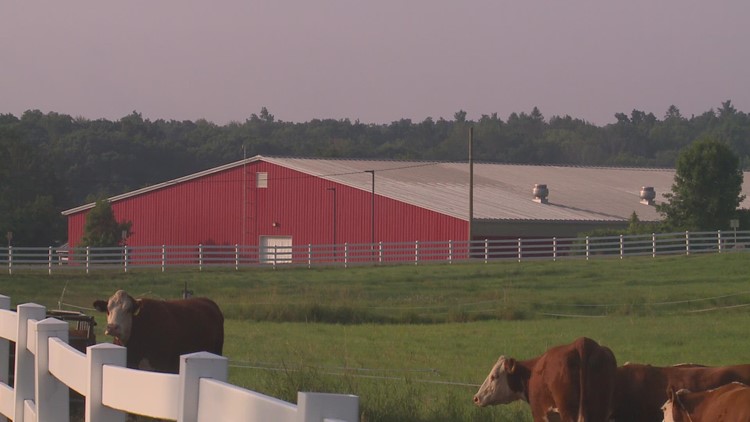 Connecticut farmers work to keep animals and crops safe in heat