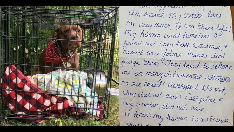 Owner left heart-breaking note with dog abandoned in Harwinton 