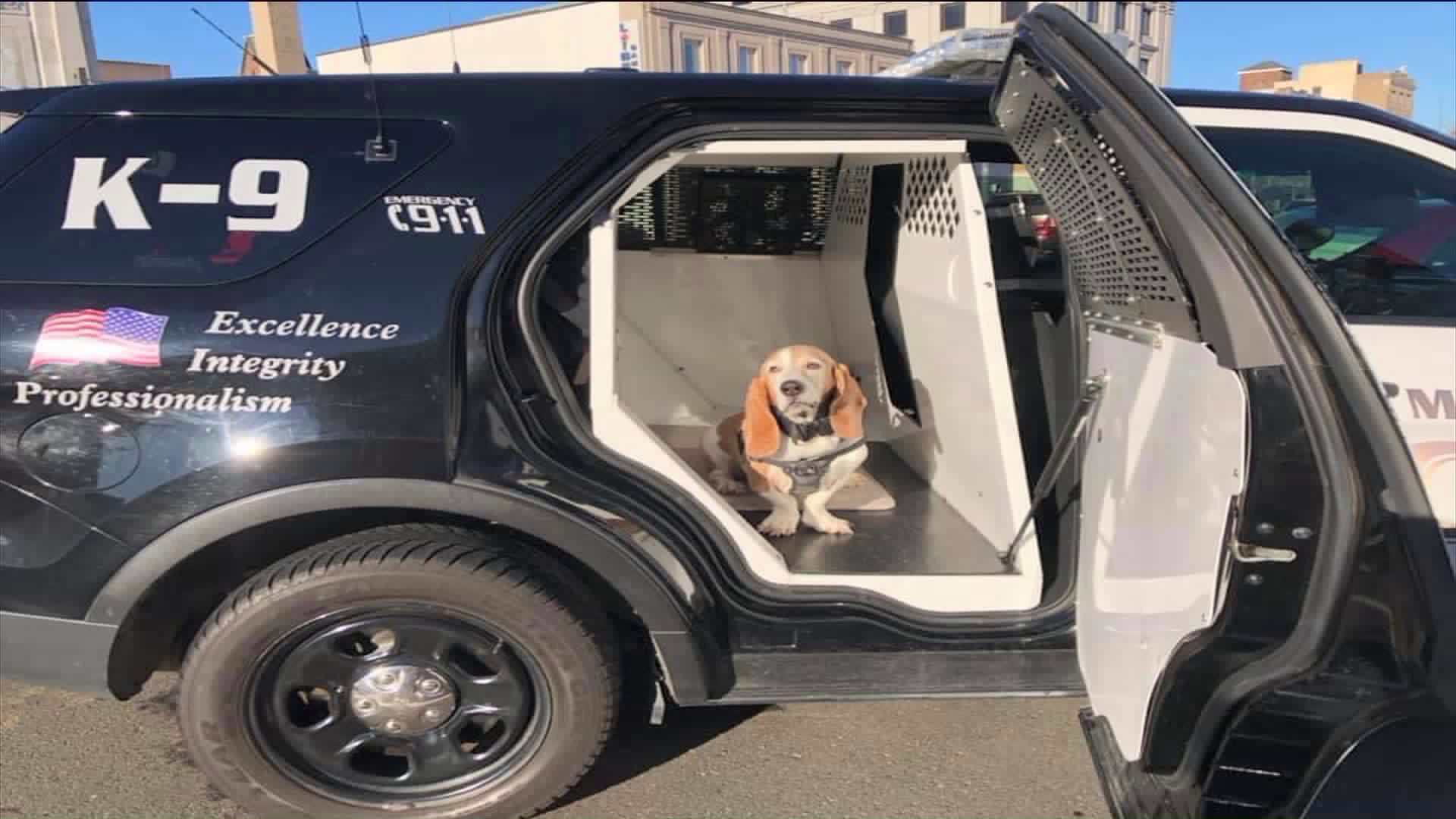 Police K-9 for a day