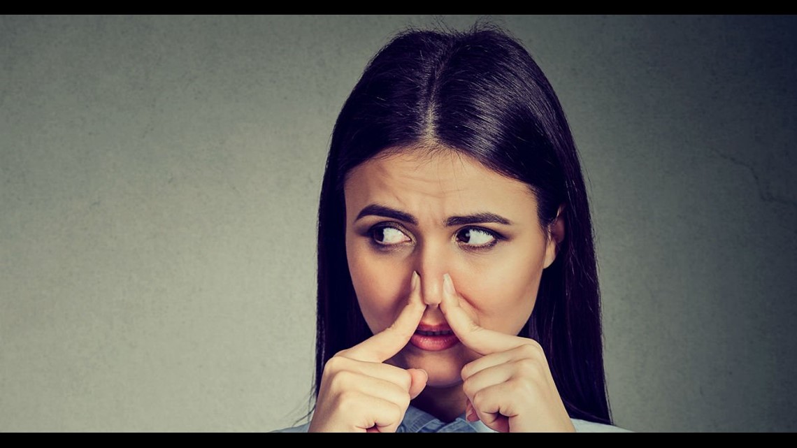 Alabama incensed over ‘horrific’ smell of New York City poo