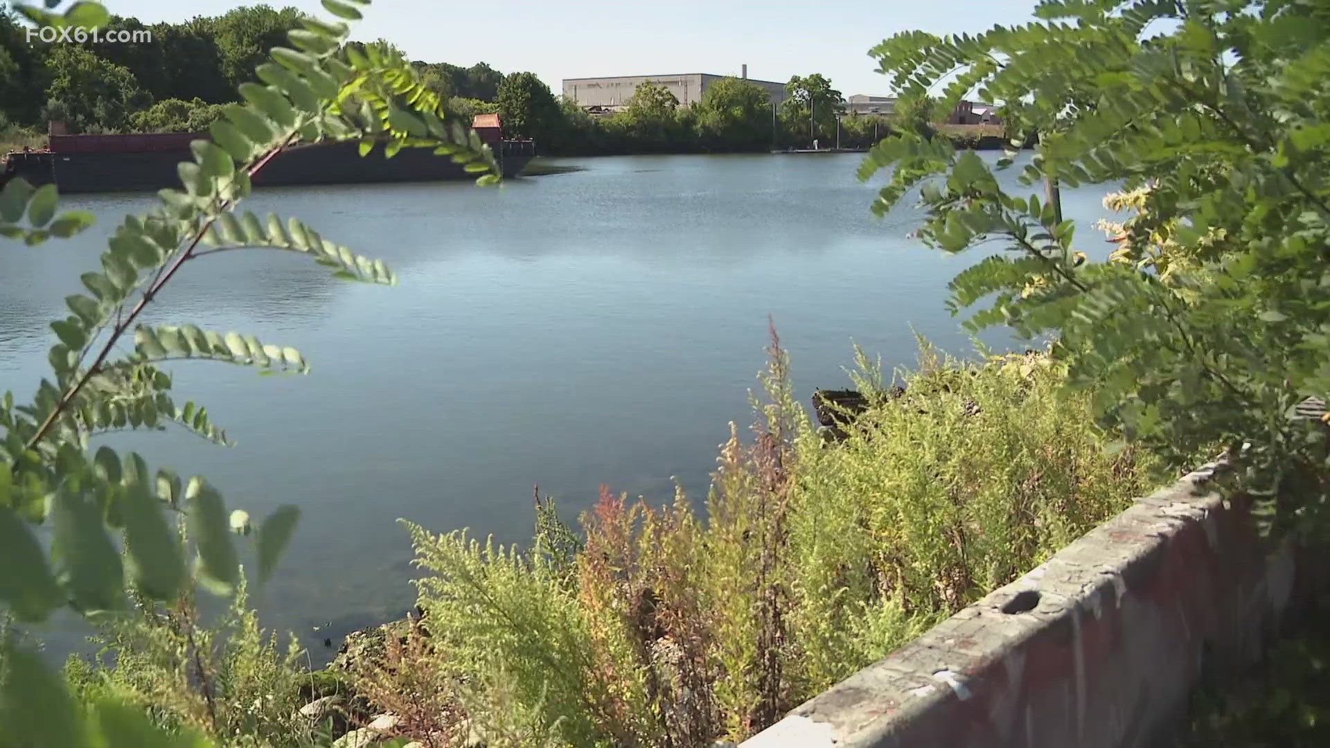 New Haven police confirmed that the body of a woman was found in the river near the Ferry Street bridge on Tuesday.