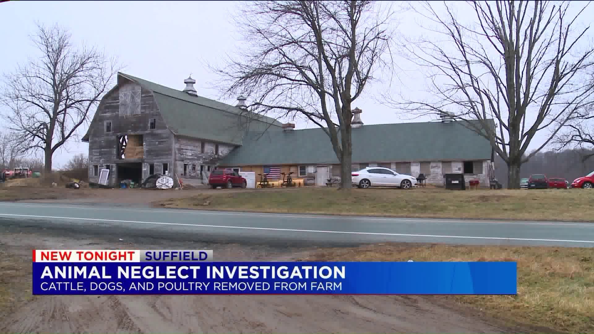 Neglected cattle, dogs, and poultry removed from Suffield farm say police