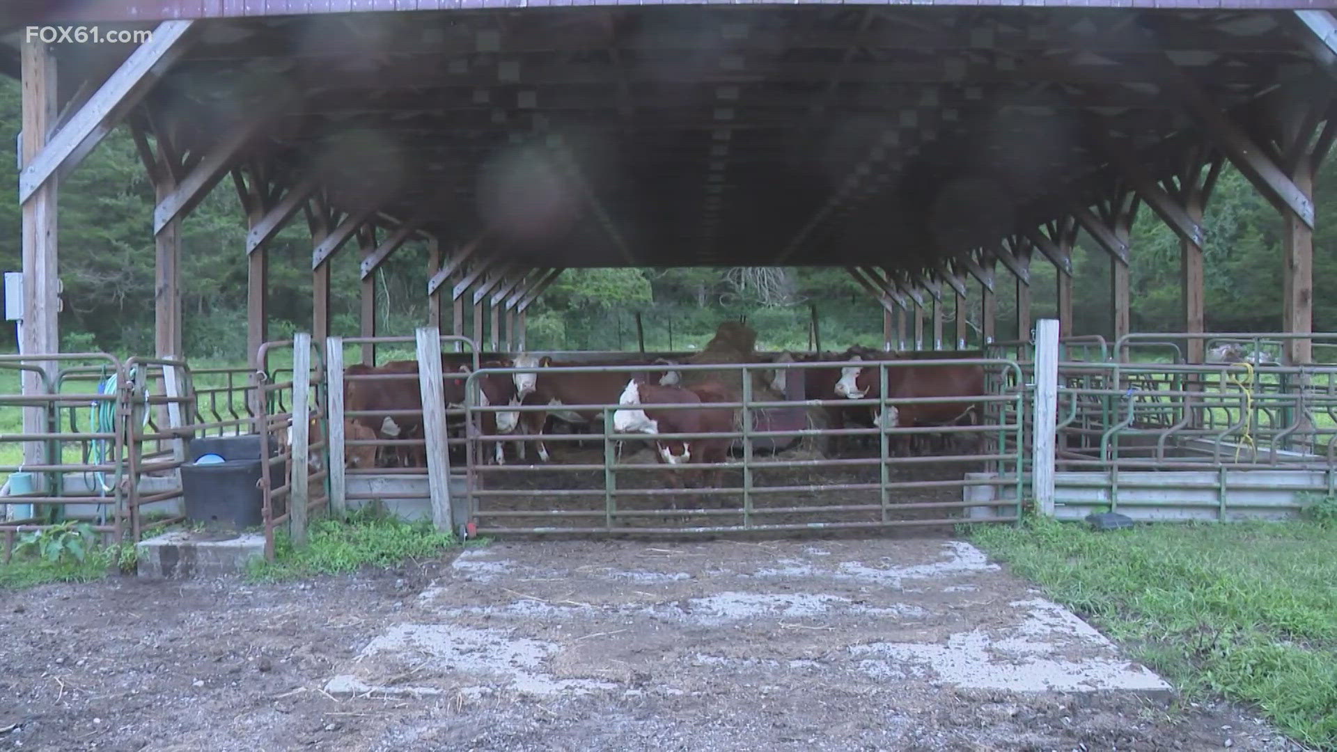 The life of a farmer takes a lot of determination and grit, which Southbury farmers will need after Sunday's storm flooded parts of their properties.