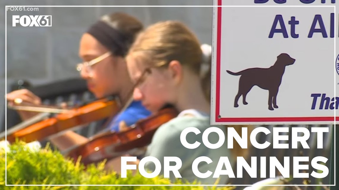 New Britain middle schoolers put on concert for dogs