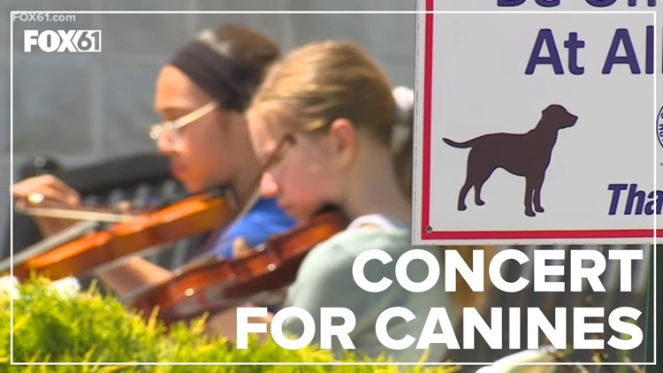 New Britain middle schoolers put on concert for dogs