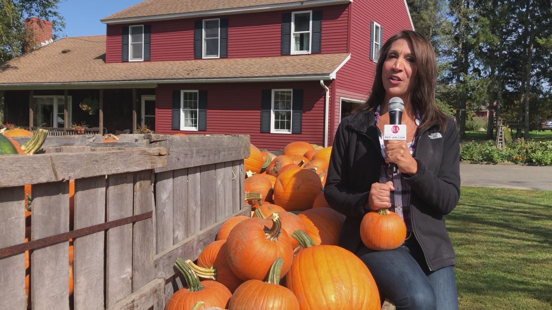 We're visiting March Farm in Bethlehem