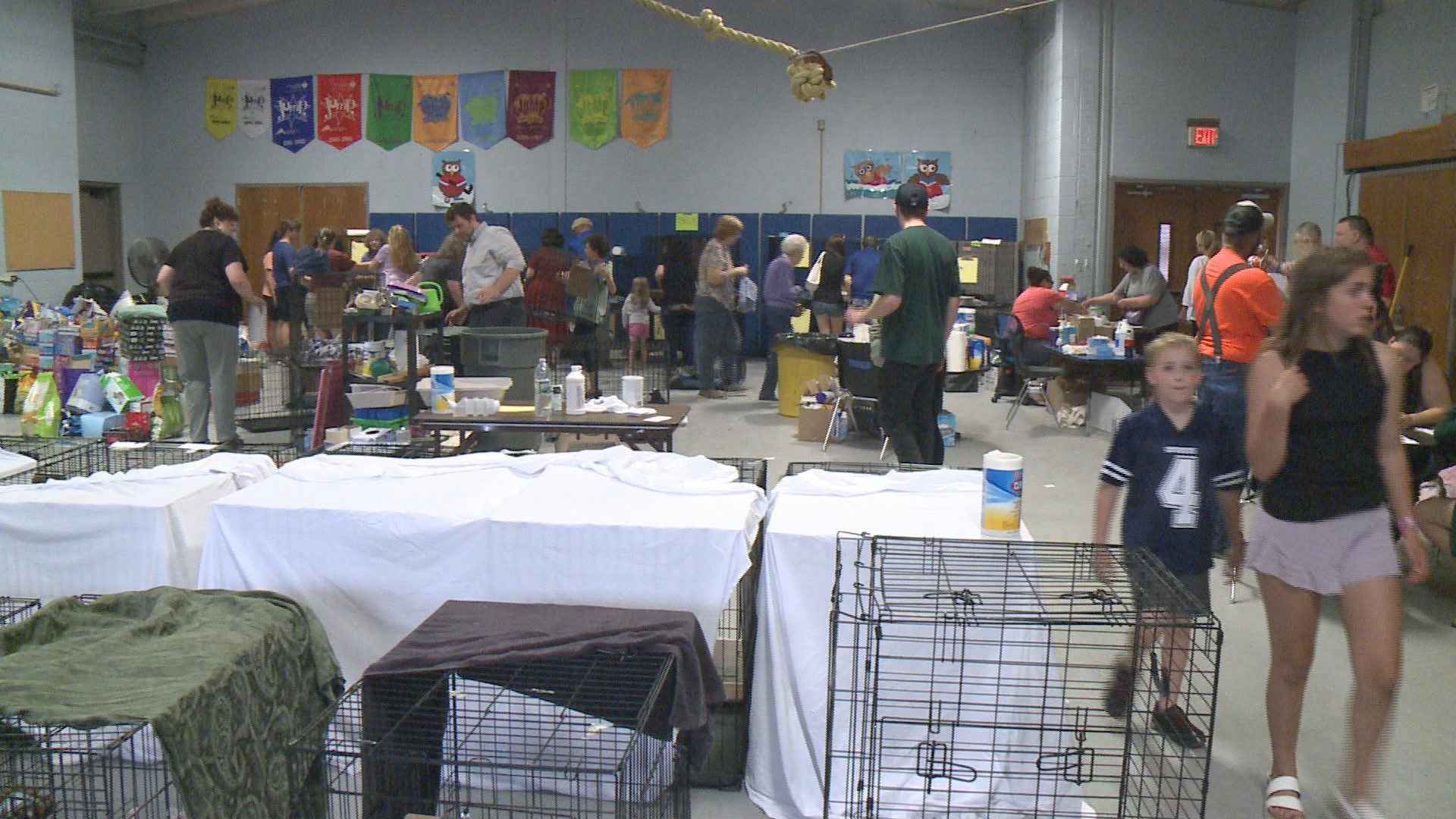 Winsted cat goes for adoption, rescued from a "hoarding" house