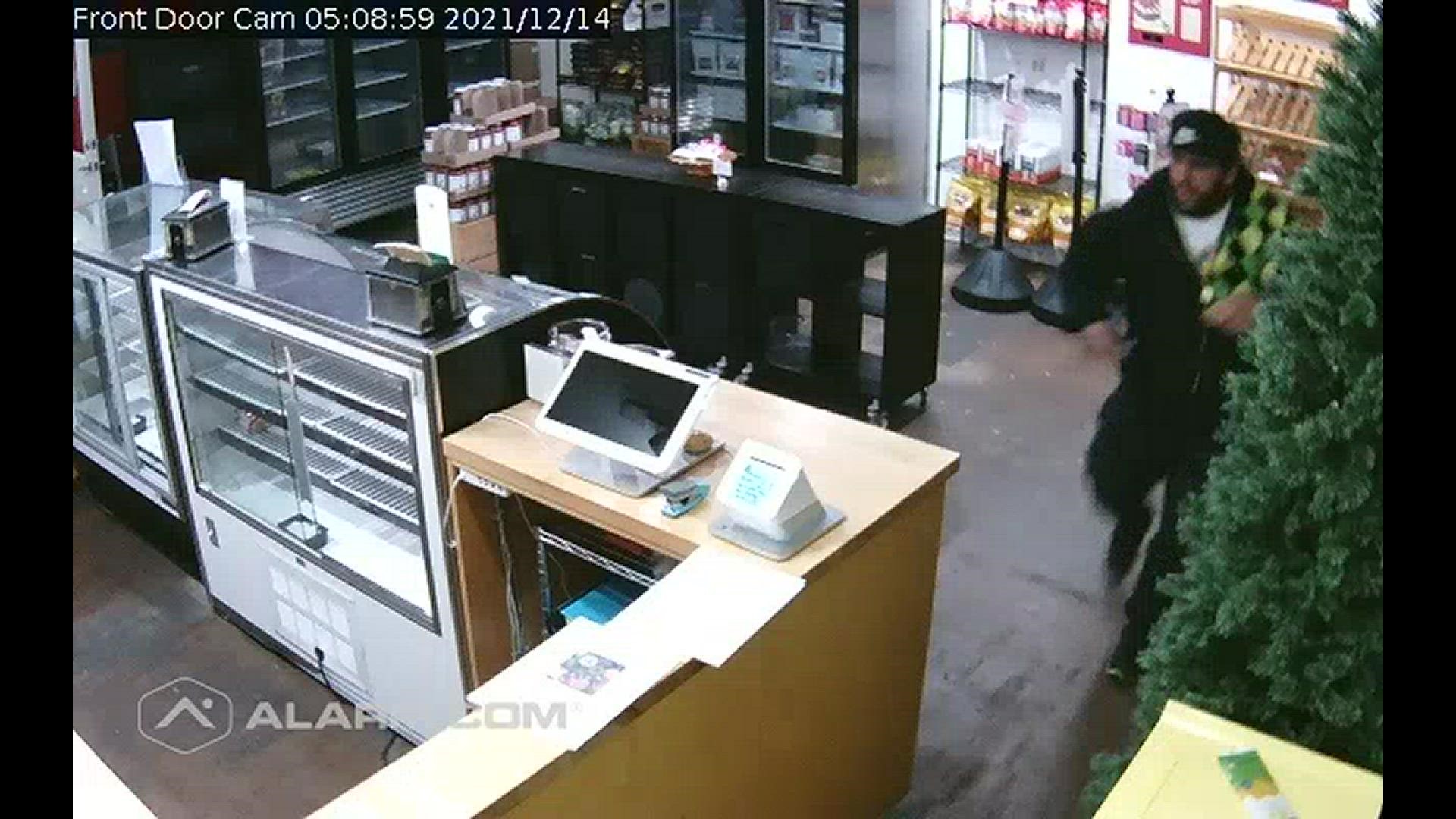 Dee's One Smart Cookie in Glastonbury released this surveillance footage in hopes of identifying the man they said has broken into the bakery at least two times.